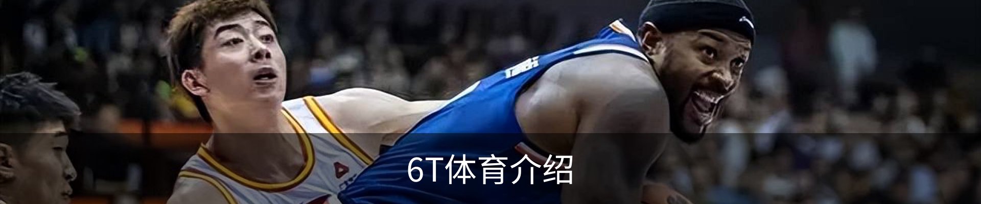 6T体育介绍